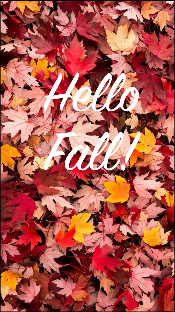 2019 Fall Trends